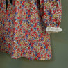 Lapel Collar Liberty Emma and Georgina Dress