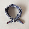 Scarf Blue and White Stripes